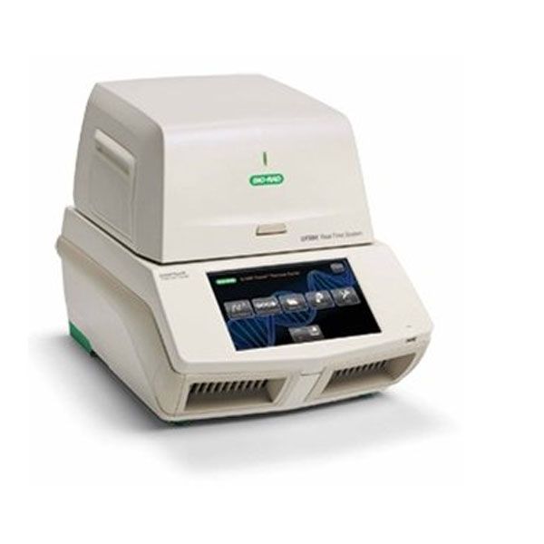 Amplifier in real time CFX-96, BIO-RAD, USA